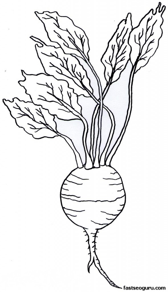 Printable Vegetable Turnip Coloring Page